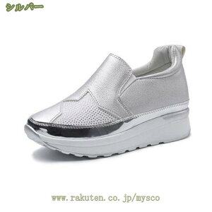 500~OFFN[| Xb| fB[X Xj[J[ ؂ y^R  ₷ 傫TCY TCY ubN  zCg    Xb| tbgV[Y 킢