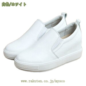 1000~OFFN[| fB[X Xb| 傫TCY LoX C   ₷ ؂  V[Y fB[XV[Y Xb|Xj[J[ ۂ XbvI V