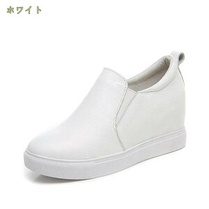 Xb| fB[X V[Y  Cq[ EhgD TChSA Xj[J[ [Jbg O TCY NbV  C [t@[ ₷ ₷ ʋ ʊw 