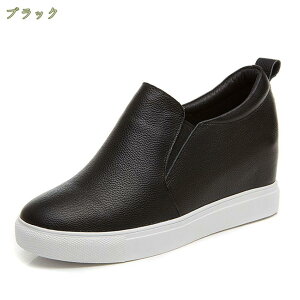 Xb|  fB[X Xj[J[ Cq[ y Xj[J[ JWA s ₷ RȂ TCY r r [Jbg JWA V[Y ʊw   C