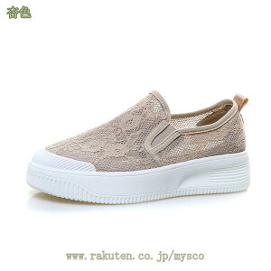 777~OFFN[| Xj[J[  Xb| fB[X [X ԕ   y ʋC r ₷ ₷ ~ 킢 ꂢ wlC TChSA Xb| JWA