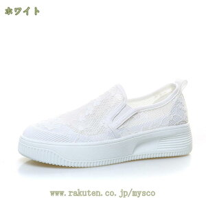 1000~OFFN[| Xj[J[  Xb| fB[X [X ԕ   y ʋC r ₷ ₷ ~ 킢 ꂢ wlC TChSA Xb| JWA