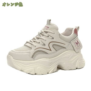 500~OFFN[| _bhXj[J[ Xj[J[ fB[X  傫TCY ₷  [XAbvV[Y EH[LOV[Y ɂȂ Ȃ ~ X|[c AEg