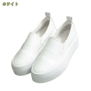 1000~OFFN[| fB[X  Xb| TChSA Xj[J[ JWA ؂ tbgV[Y  zCg [Jbg vbgtH[ ₷ ~ ʊw ʋ 