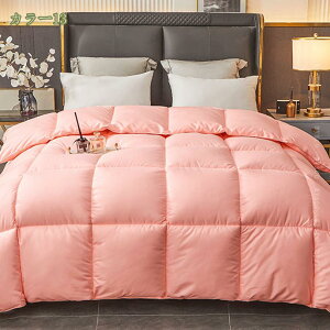 1620円OFFクーポン ダウン 合掛けふとん(Sサイズ 150cm×200cm) サイズ 掛け布団 洗える シングル 合掛け布団 合い掛け キナリ 無地 ふとん 寝具 羽毛 合い掛け布団 薄い 羽毛布団 オールシーズン