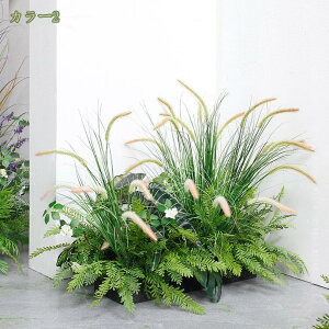 1000~OFFN[|  lHA CeA  fR[V hbOe[OX  AWg W x fBXvCp Iȑ` kȃfBe[Č  򉻂