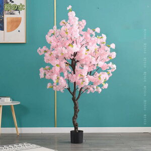 2000~OFFN[| lHϗtA ^ tFCNO[ ϗA lHϗt CeAO[ ItBX   CeA ^  ItBX ɒuA tFCNO[ 