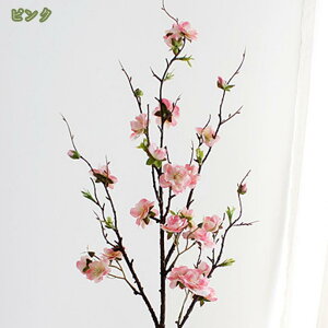 10{Zbg  ~̉ ~ Ԃ݂ Rȕ͋C {݂ `[bvu[P ͂Ȃ  o^Cf[ ̓ a Mtg ͂Ȃ CeA Rȕ͋C v[g