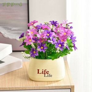 500~OFFN[| ԃZbg   A  邢F ԕrt lHϗtA ͂Ȃ  {  Ђ܂ j a LO ̓ hV̓  w N