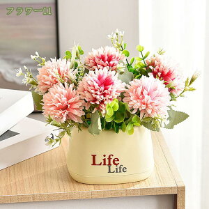 500~OFFN[| ԃZbg   A  邢F ԕrt lHϗtA ͂Ȃ  {  Ђ܂ j a LO ̓ hV̓  w N