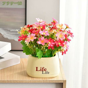 500~OFFN[| ԃZbg   A  邢F ԕrt lHϗtA ͂Ȃ  {  Ђ܂ j a LO ̓ hV̓  w N