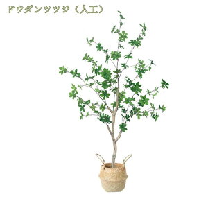 1000~OFFN[| lHϗtA tFCN tFCNO[ ^  CeA  O ItBX ݑ tFCNA lHϗtA sv ͂Ȃ ~͐A nhCh ό h