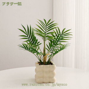 300~OFFN[| A tFCNO[ lHϗtA ~j|bg A  CeA O[ tFCNO[ ItBX  Q rO[ oX[ Lb` oRj[