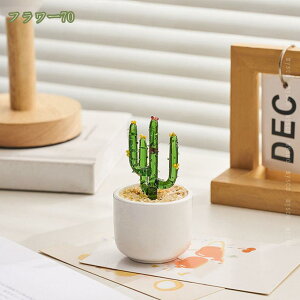 lHA tFCNO[ ~j lHϗtA 񂹐A rO _CjO  Lb` gC CeAG i` A DIY 񂹐A A ͂Ȃ u lH