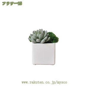 500~OFFN[| A tFCNO[ lHϗtA A  CeA O[ tFCNO[ ItBX  Q rO[ oX[ Lb` oRj[ 