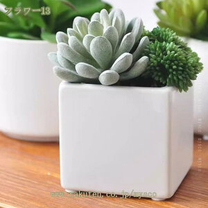 500~OFFN[| A tFCNO[ lHϗtA A  CeA O[ tFCNO[ ItBX  Q rO[ oX[ Lb` oRj[ 