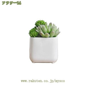 500~OFFN[| A tFCNO[ lHϗtA A  CeA O[ tFCNO[ ItBX  Q rO[ oX[ Lb` oRj[ 