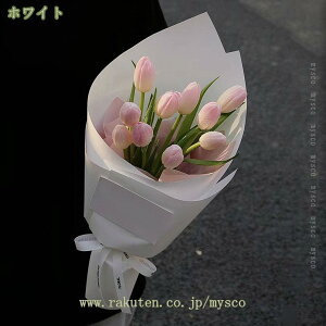 500~OFFN[| 5  `[bv ͂Ȃ lHϗtA A^b` Vp PU `[bv u[P  ItBX z[ Lb` fR[V `[bv Vp