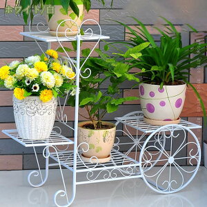 500~OFFN[| vgX^h zC[t t[X^h OAp K[fJ[g vgLfB hK KтȂ SvgVFt v^[p Aړz_