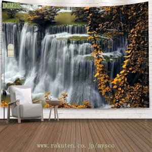 300~OFFN[| ^yXg[ R̕i̕Ǌ| 唻^yXg[ rO[  ₩ @\Ǌ|  Mtg lĈj  p  t _ X