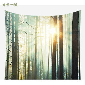 300~OFFN[| ^yXg[  X X WO R R  CeA @\Ǌ| t@ubNpi _ȃA[g ͗lւ  J[e Mtg Vj z 