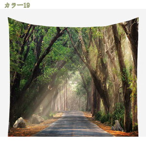 ^yXg[  X X WO R R  CeA @\Ǌ| t@ubNpi _ȃA[g ͗lւ  J[e Mtg Vj z  k i