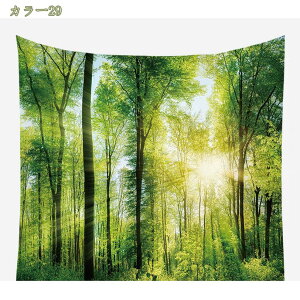 777~OFFN[| ^yXg[ ̐X ܂ڂ낵 t@^W[ O Â u CeA @\  Ǌ|   Ǖz J[e ͗lւ C] z|X^[ CX^f 