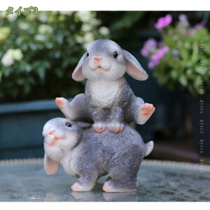 500~OFFN[| K[fjO u e K[fI[ig NGCeBu K[fIuWF  I[ig O  Ki o Ő Ă K[fjOG ObY Ce