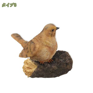 500~OFFN[| Ǌ| I[ig K[fjOu CR tNE ̒u   TCY ݂艺 낪ɂ₩ G K[fjOG A[g I