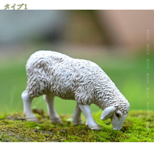 K[fjOG qcW ~jTCY K[fjO u  Aq AeB[N i`  A ~͏ Aj} K[f I[ig G A IuWF }CNi 