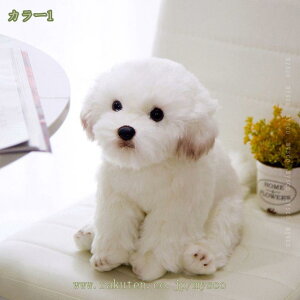 777~OFFN[|  ʂ Aj} 킢 CeA   炩 G C NX}X v[g ʂ  ʂ A  v