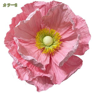 2000~OFFN[| |s[ tFCNt[ ^ 傫߃TCY { Wp  X rO Kip ͗lւ CeA nhCh ȒP ͂Ȃ R[i[ t