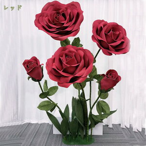 1000~OFFN[| [Y VNt[ ԑ Ԃт ͂Ȃ tFCN[Y W{ EBhEfBXvC   Be  Cxg fR[V o 