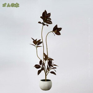 tFCNO[ ^  A CeAO[ Ƌ lHϗtA lH ϗtA  rO _CjO X ItBX Vzj JXj Mtg 蕨 j 