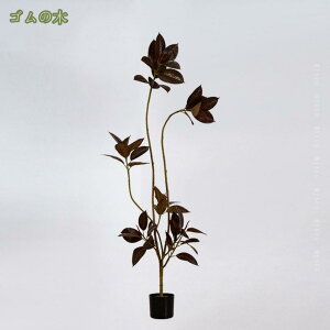 1000~OFFN[| ϗtA tFCNO[ lHϗtA ϗt tFCN u₩ p sv eiXȒP  O Lb` ItBX rO  z fR[V