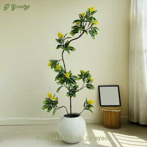 2000~OFFN[| tFCNO[ ^ ϗtA 160CM lHϗtA CeA A  j Vv ItBX   c 傫 { ̋Ԃo 