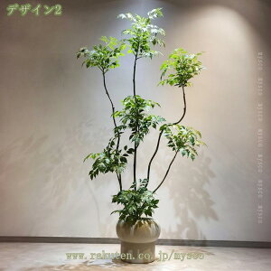 2000~OFFN[| lHϗtA 㕗 tFCNO[ 180cm  ϗt CeA  b炸 sv ItBX z[ fR[V lH ^A    
