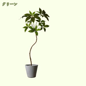 tFCNO[ ^  t ϗtA tFCN lHϗA lHϗt Vv A 썑  sv CeA  rO ItBX JtF X JXj Vz