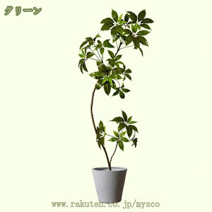 1000~OFFN[| ^Ηt lHϗtA tFCNO[ CeAO[ ϗtA  a m  ItBX ܂ Q X JXj j JƏj Mtg  sv 