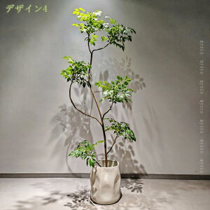 2000~OFFN[| lHA tFCNA tFCNO[ Ǒ /O/z[ItBXp tFCNc[ rO[ Vzj̃Mtg AEghA i` t fR