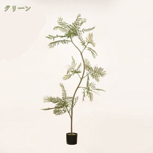 1000~OFFN[| tFCNO[  lHϗtA sv Q쏜sv  ƒ 悯oRj[  Iȑ z̃MtgɍœK ԃc[ rOEItBXp 