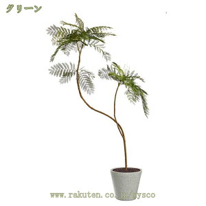 2000~OFFN[| lHϗtA tFCNO[ ϗtA  t CeA  j ^ p Vv ItBX  傫 lH ̓ A i` JtF  