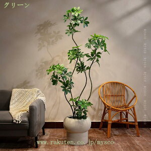 1000~OFFN[|  ϗtA tFCNO[ lHϗtA lH ͂Ȃ CeA  tFCN  O  z[   fR[V ֐ rO xbh[ Jt