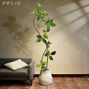 1000~OFFN[| tFCNO[ _ |bgt lHϗtA   CeA  A[g ͂Ȃ sv ȒP  rO ItBX    ͗l