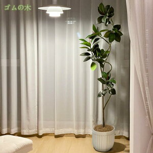 tFCNO[ 180 sv ͂Ȃ QȂ lHϗtA ϗtA CeA Vv _ ItBX   j X  ȐAؔ v[