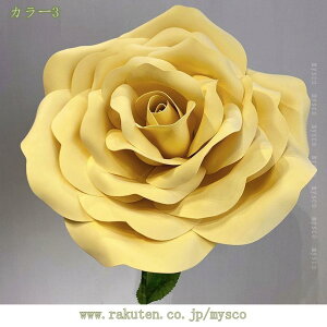 tFCNt[   o  IuWF X܃fBXvC EFfBO o^C Cxg Ǝ{ V[EBhE   LO Ԃт̗̊ 1.7m mysco