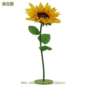 1620~OFFN[| Ђ܂ ^ t[AWg fBXvC Ƒp  EFfBOfR[V i V[EBhE ̑ Ԃ̃AW 