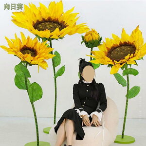 2000~OFFN[| Ђ܂ ^ t[AWg fBXvC Ƒp  EFfBOfR[V i V[EBhE ̑ Ԃ̃AW 