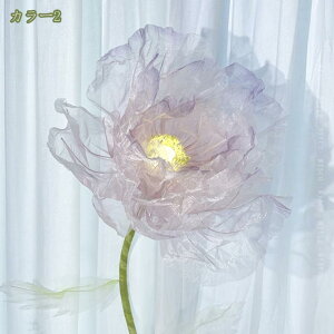 1000~OFFN[| tFCNt[ Ԃт̗̊ 呢  VN IuWF X܃fBXvC   LO EFfBO o^C Cxg Ǝ{ V[EBh