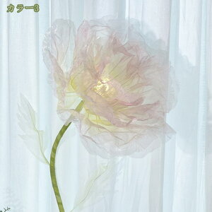 1000~OFFN[| tFCNt[ Ԃт̗̊ 呢  VN IuWF X܃fBXvC   LO EFfBO o^C Cxg Ǝ{ V[EBh